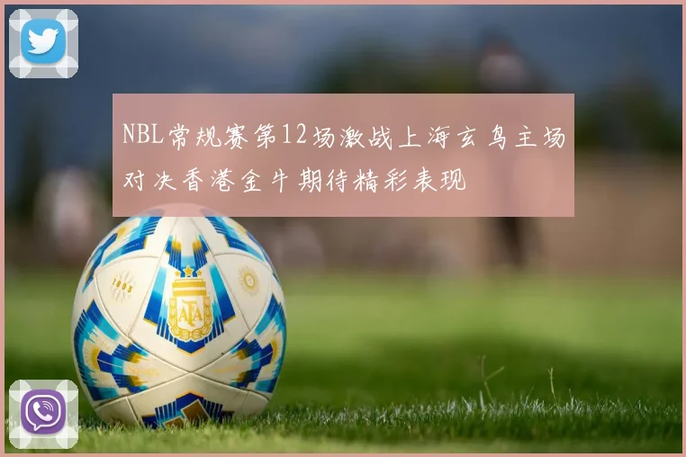 NBL常规赛第12场激战上海玄鸟主场对决香港金牛期待精彩表现