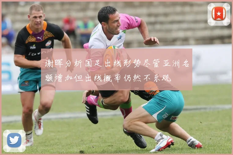 谢晖分析国足出线形势尽管亚洲名额增加但出线概率仍然不乐观